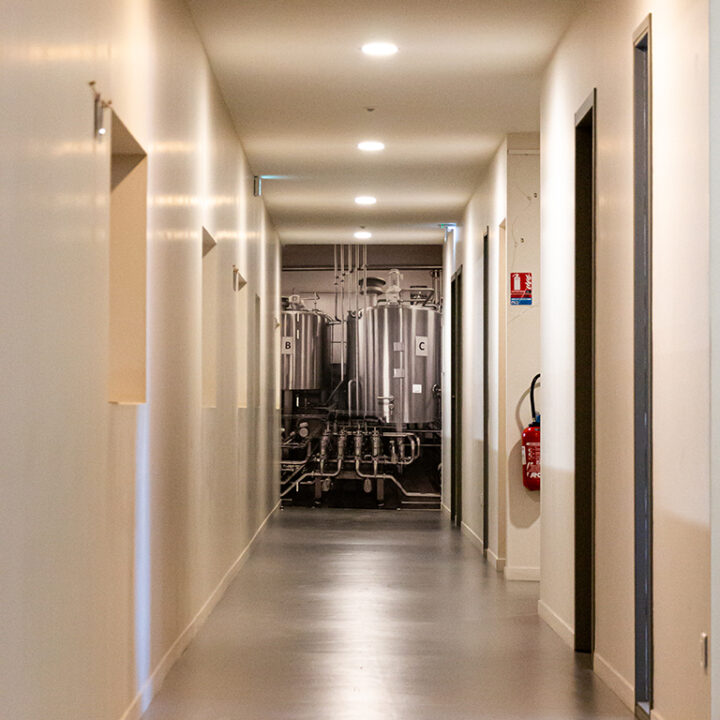 © Xb architectes