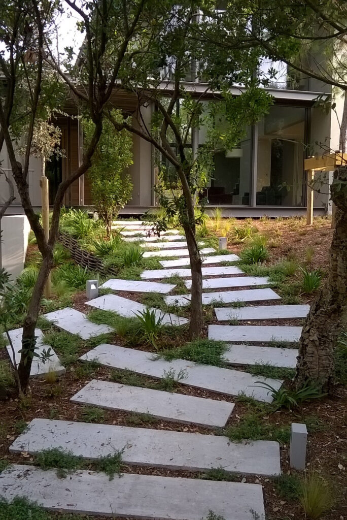 Jardin paysager d'une villa contemporaine au cœur de la pinède.