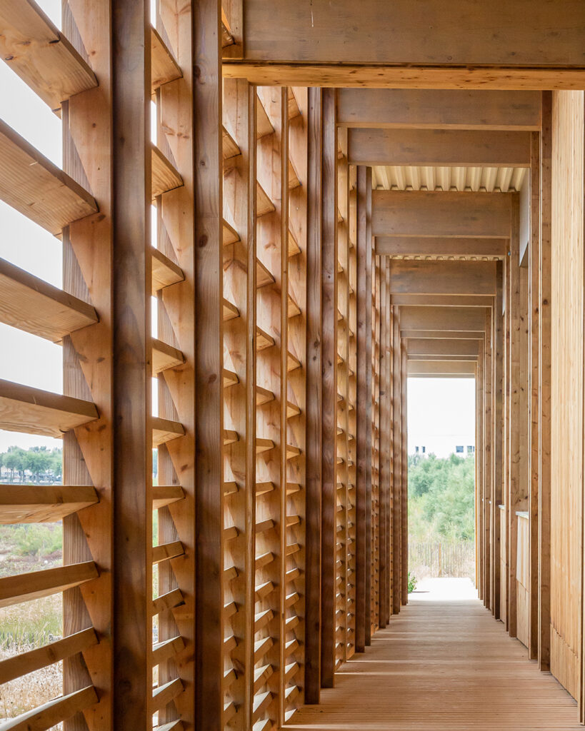 Passerelle bois ossature charpente Maison de l'Environnement Izadia
